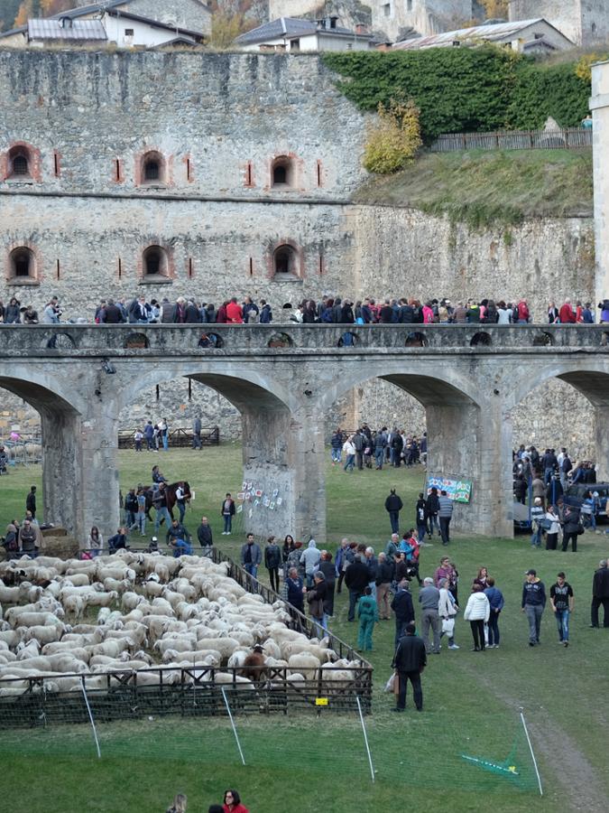 FORTE DI VINADIO